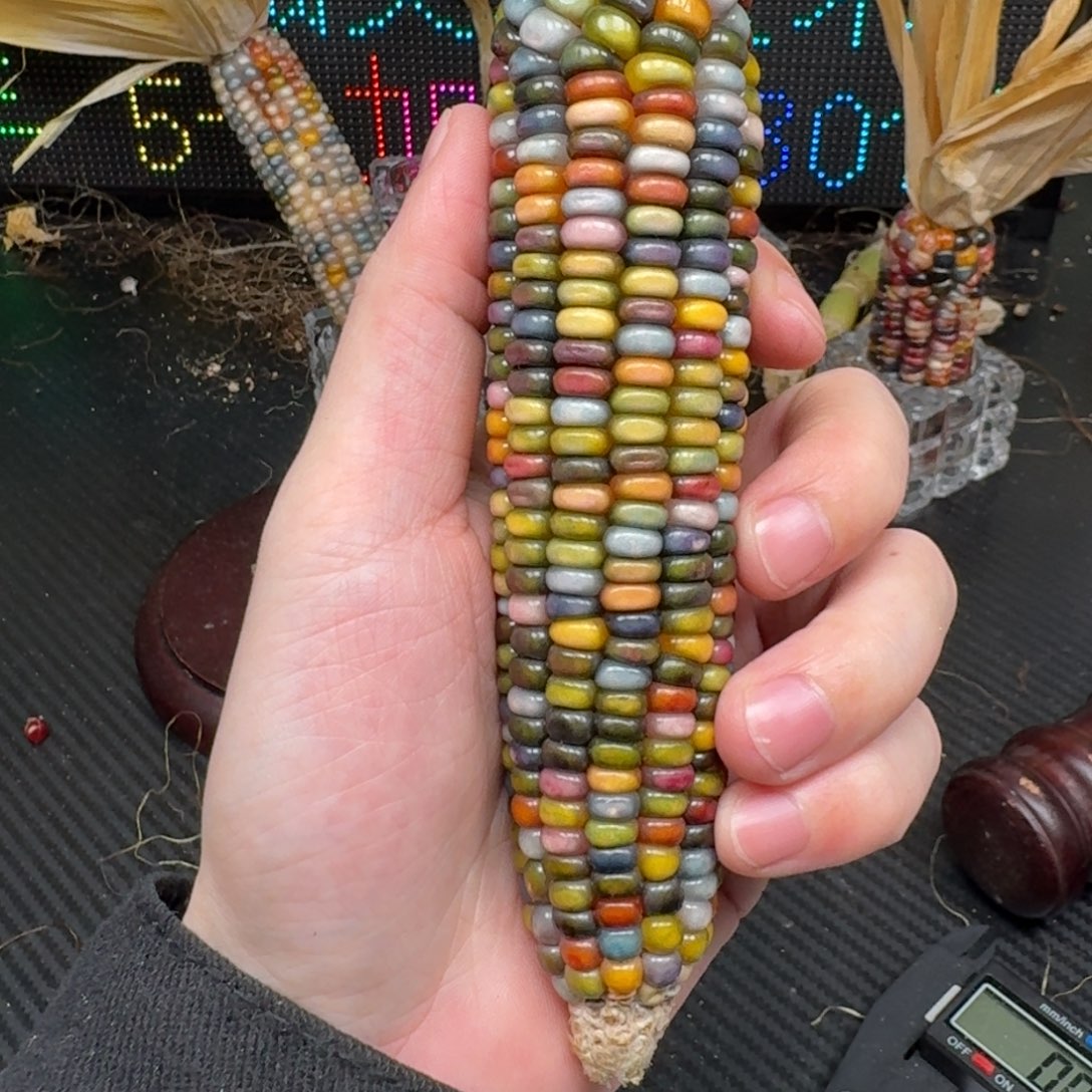 柏香籽/百香籽吊坠麦*洛