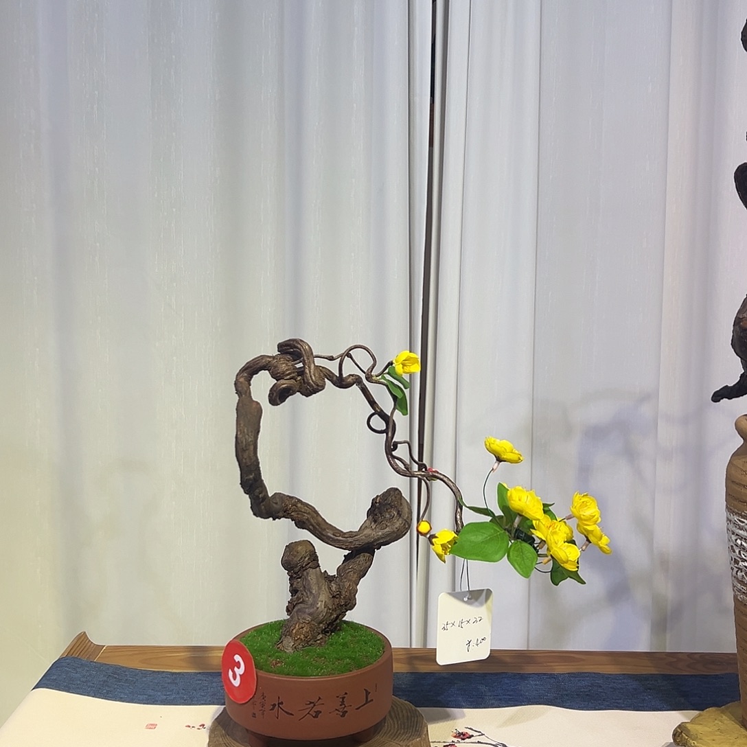 有机玻璃仿真花真根一物一拍