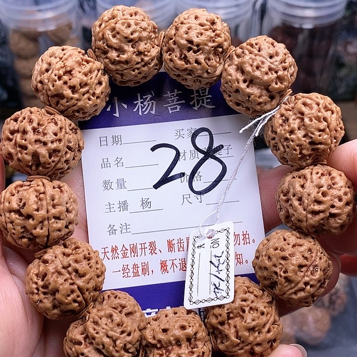 手串金刚菩提23.5/24双龙