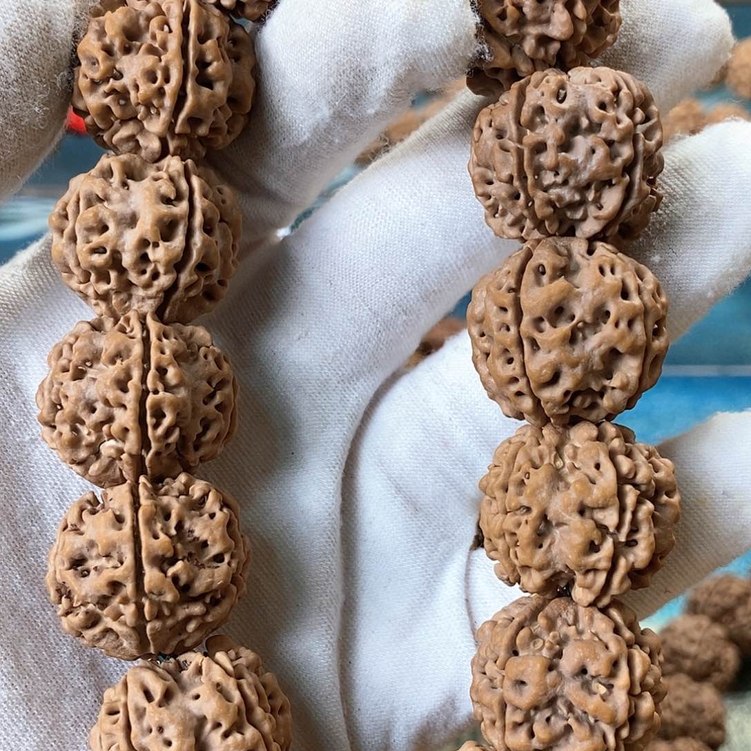 金刚菩提吊坠王*-五瓣