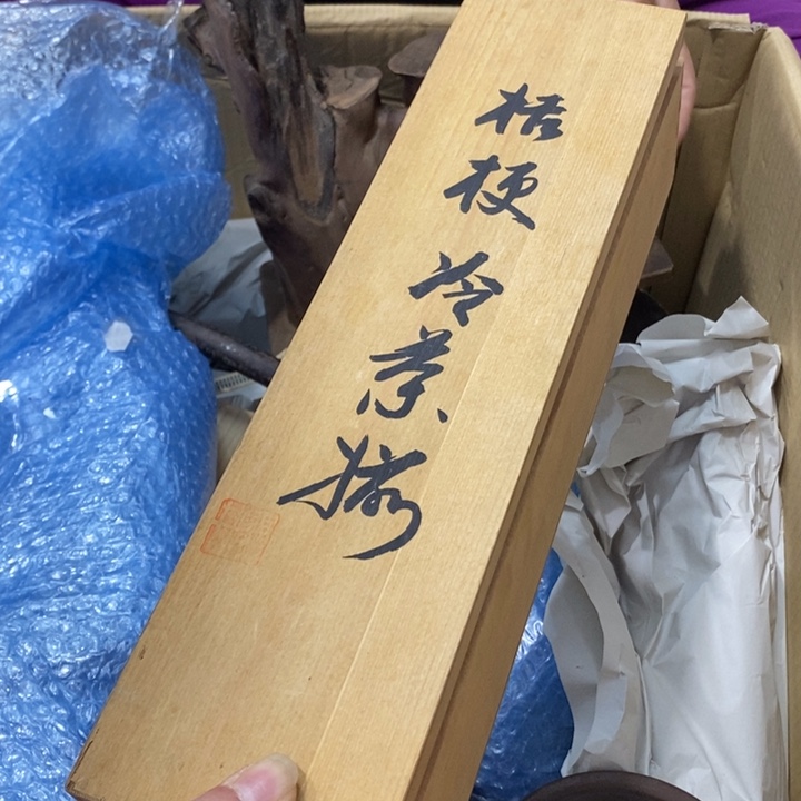 小***授哈哈哈哈哈哈哈哈哈