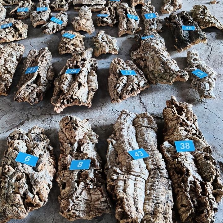 完全开放顺顺利利，平平安安