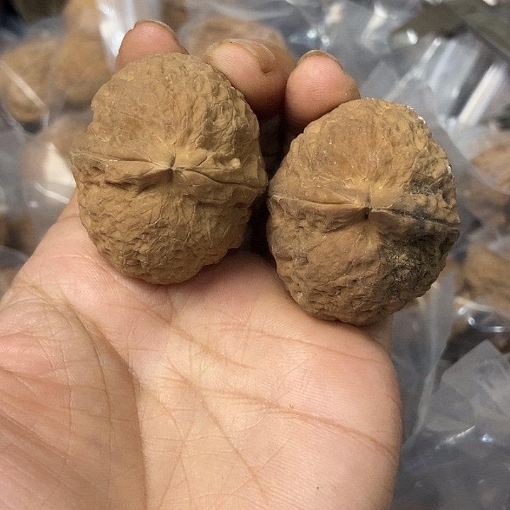 把件文玩核桃云南铁核桃基地57