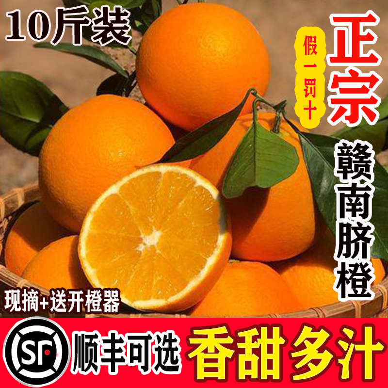 【粤老师专属】江西赣州产地直发礼盒正宗赣南橙子新鲜应季水果
