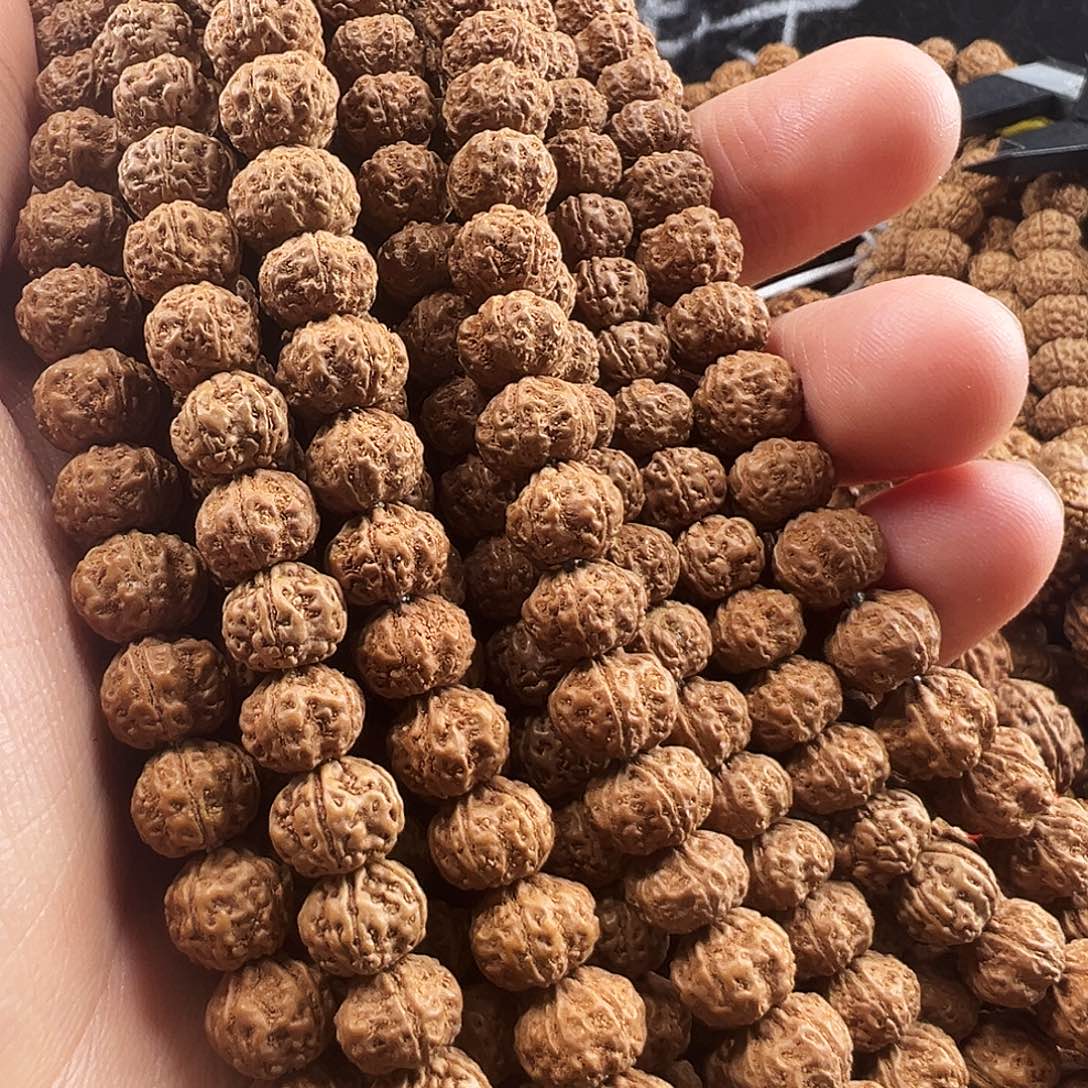 吊坠金刚菩提老树梅花8m