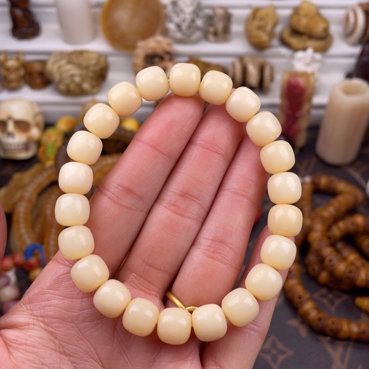 驼骨其他骆驼骨老邢10