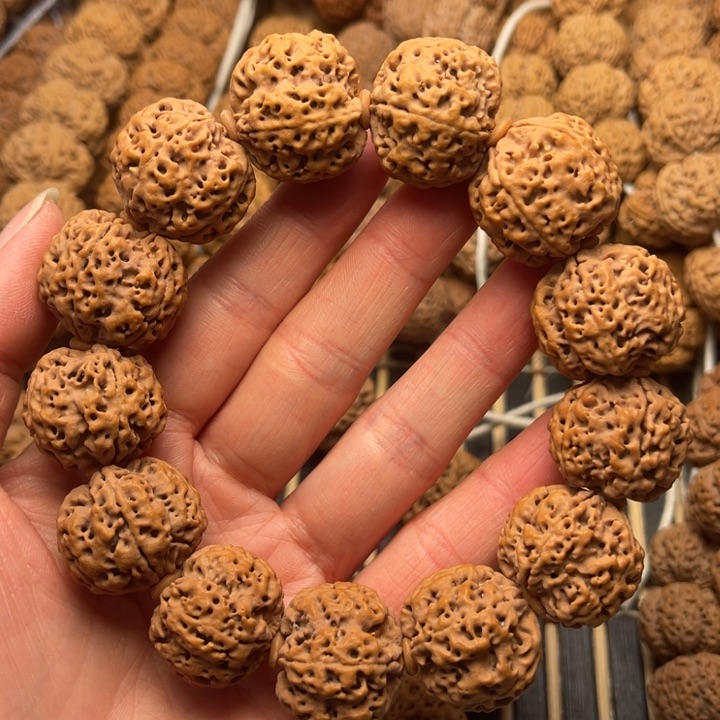 菩提尼泊尔大金刚满肉蜂窝双龙23+