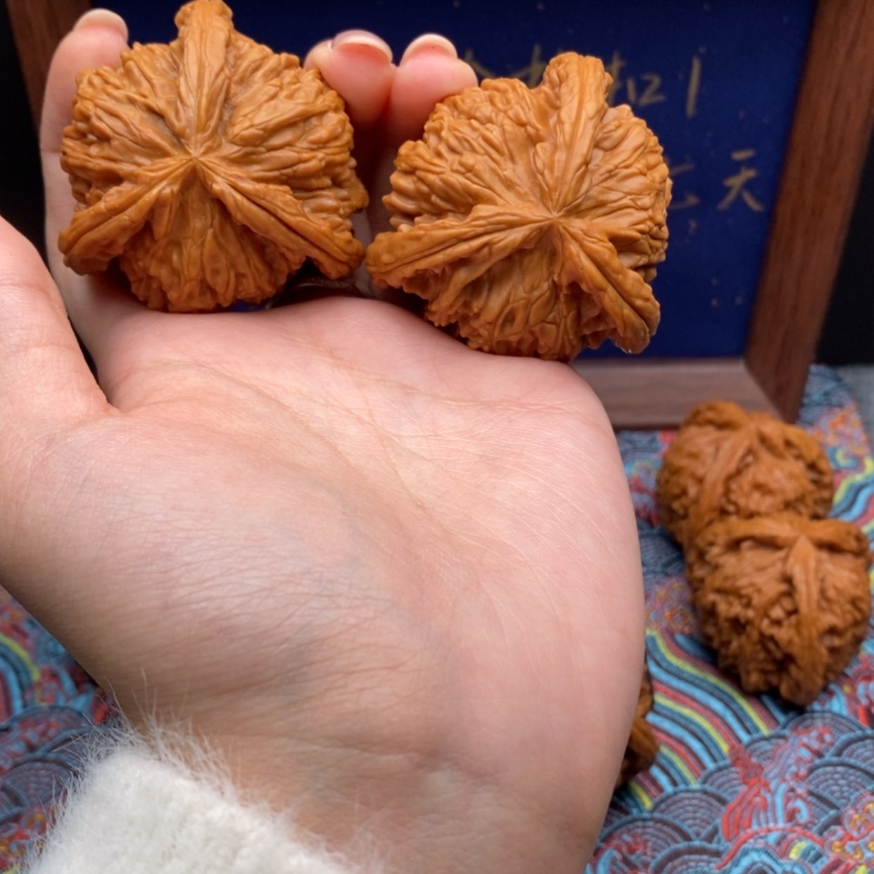 【闪购商品】焕**~白狮