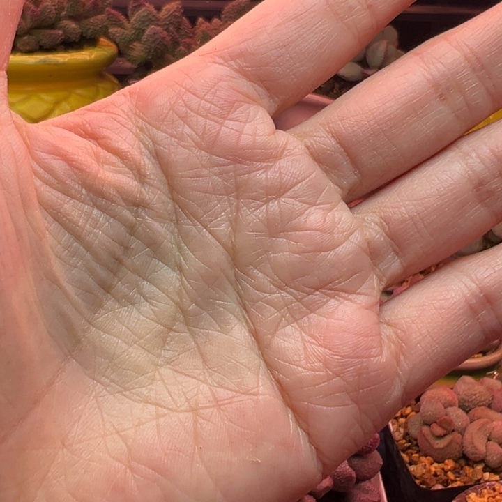 辉***～         量天尺。      