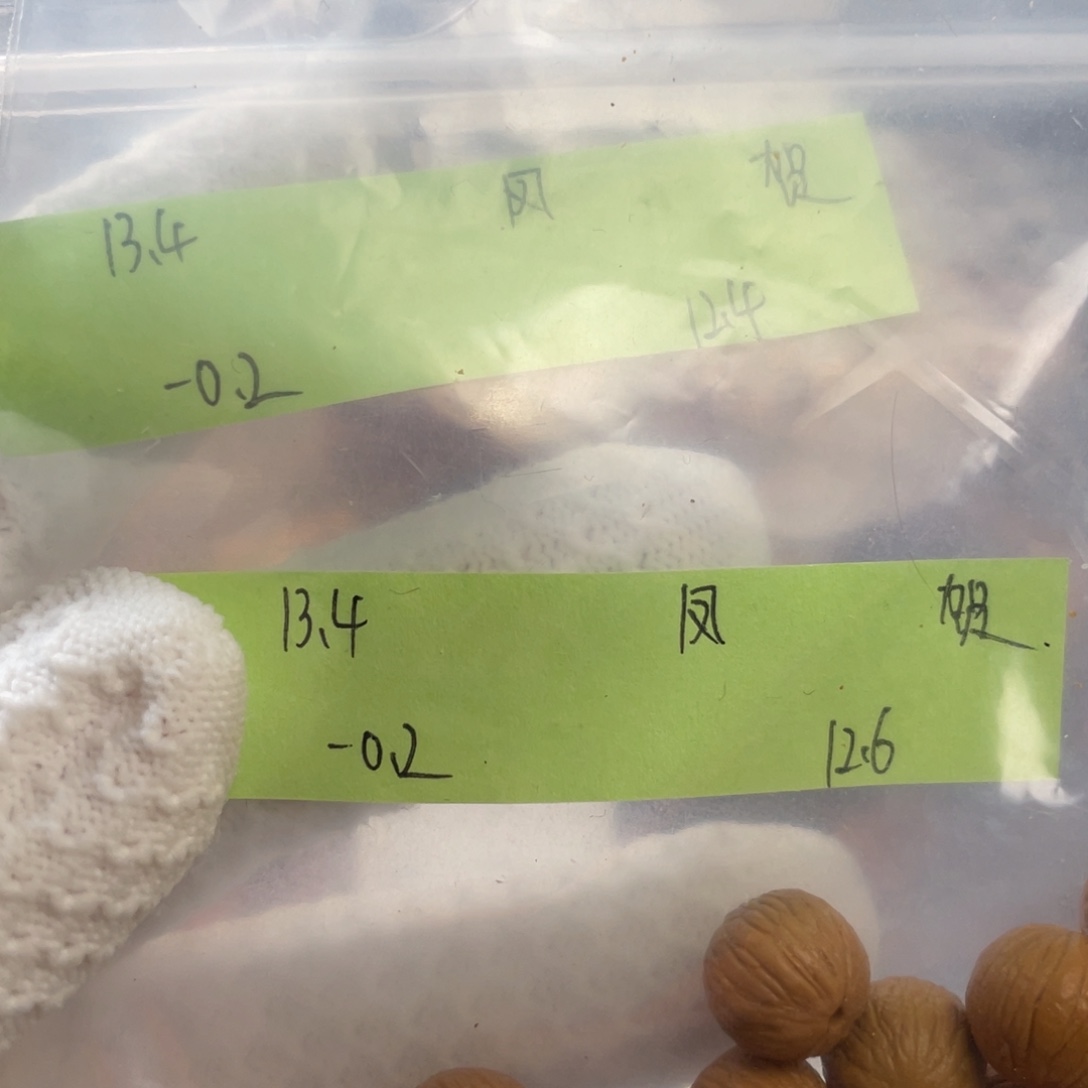 猴头核桃手串浮*凤羽13.4两条