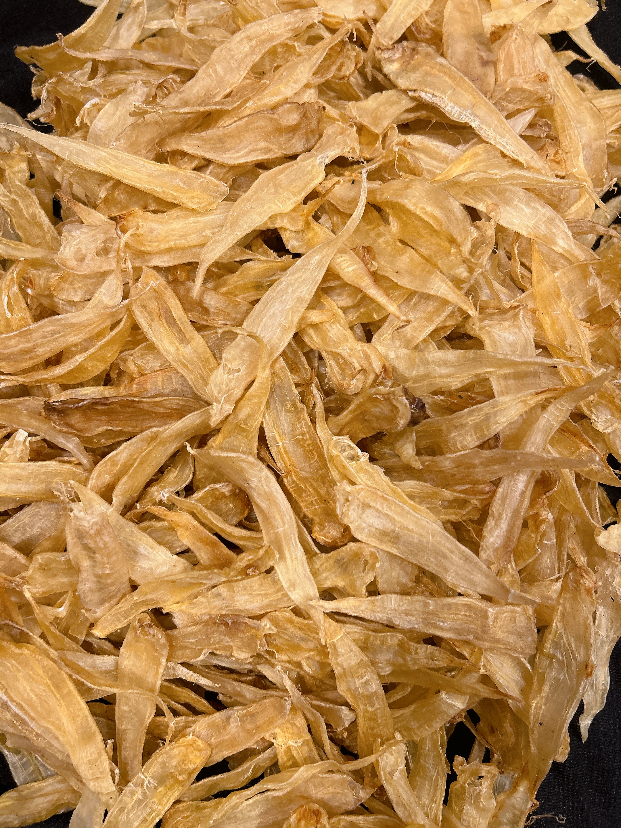 【素素滋补】精选清水漂亮豆仁公胶310头420头等多种规格花胶