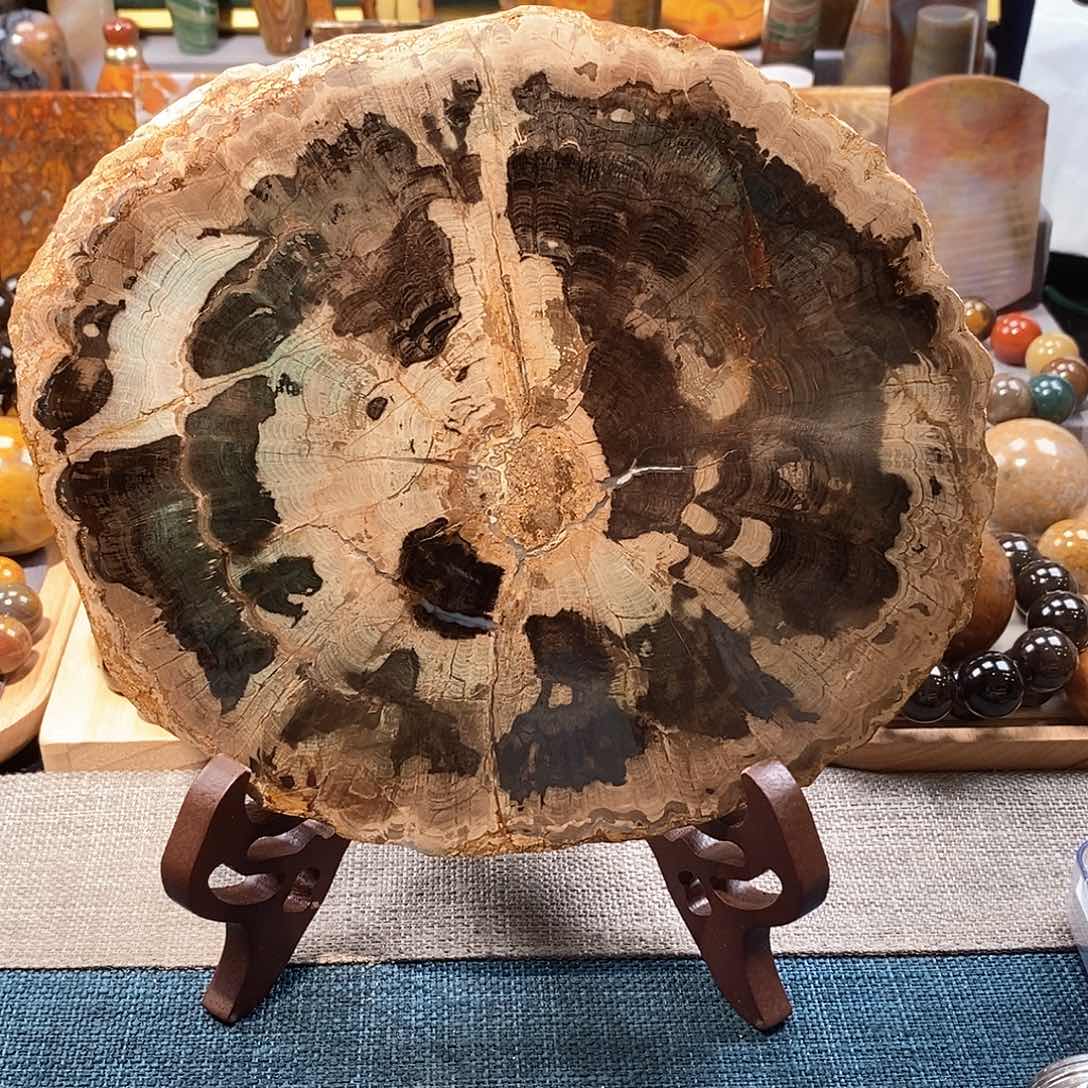 硅化玉天然北票硅化玉原石未镶嵌天然北票硅化玉原石