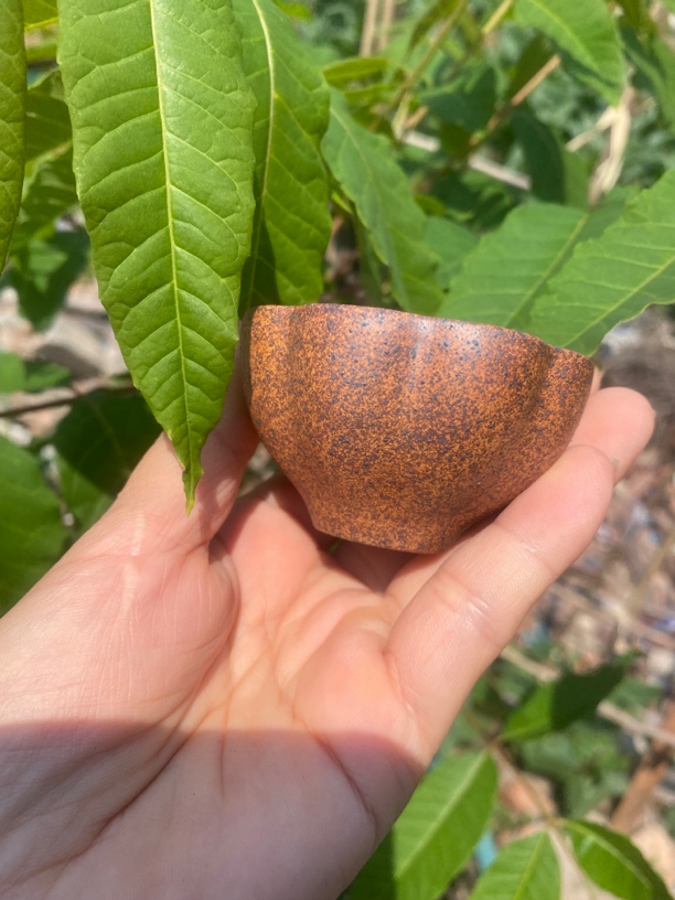 黄段高温还原精美大口杯陶瓷小口杯茶杯品茗杯茶具