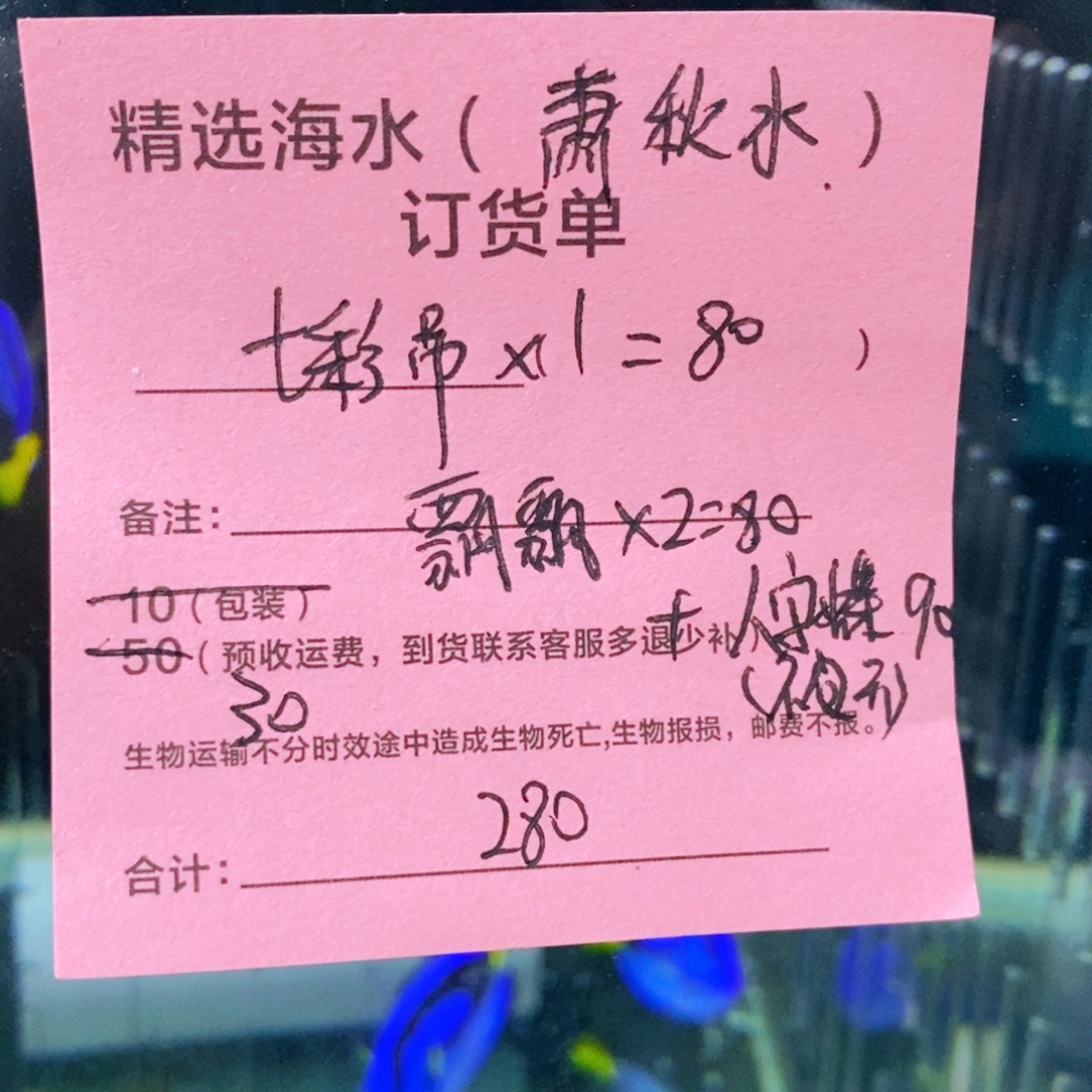 海水鱼七彩➕飘飘2➕人字蝶大➕续重10