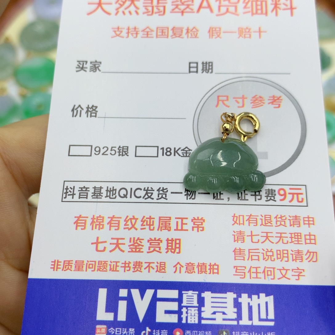 翡翠颈饰未镶嵌翡翠