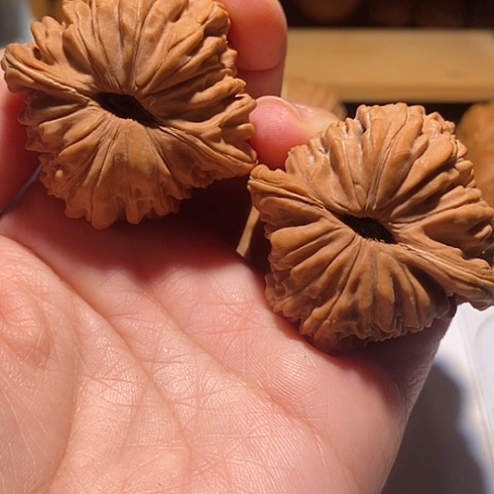 林****核桃44尺四座楼全品无修