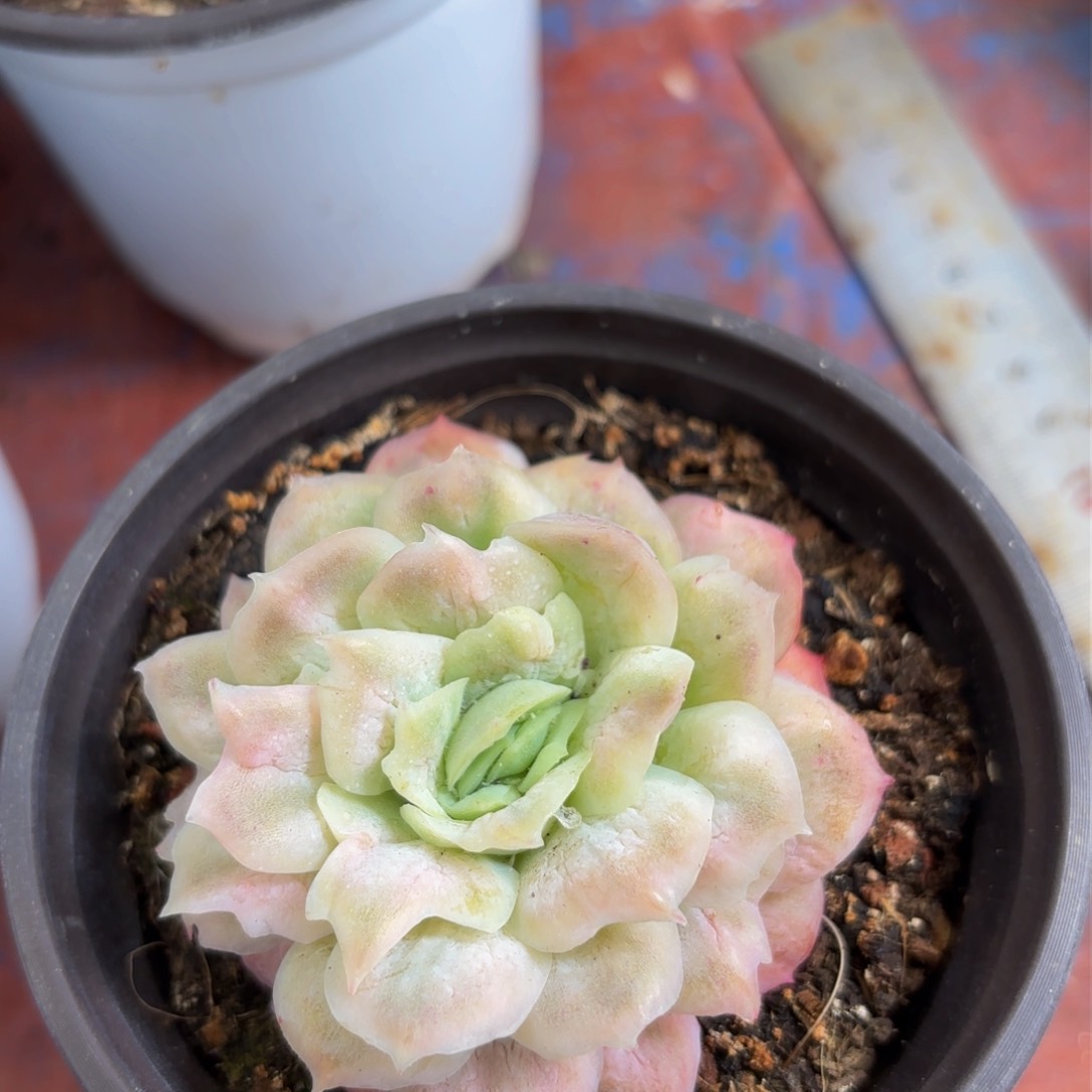 海****）哈哈哈哈哈哈哈哈