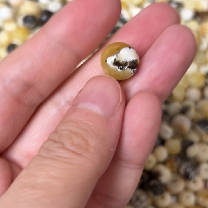 蜜蜡未镶嵌裸石11.1mm一个