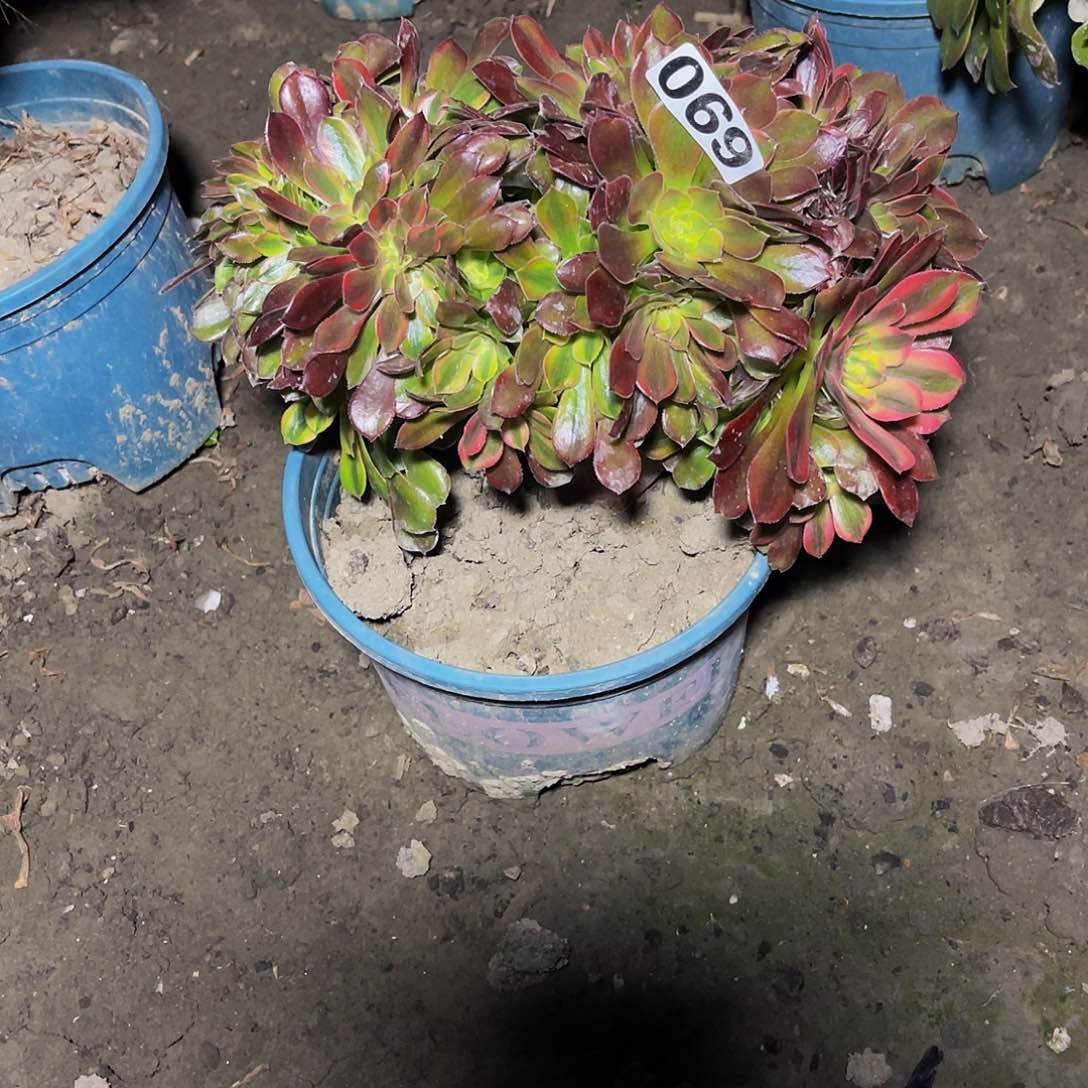 法师法师15/27包邮法师