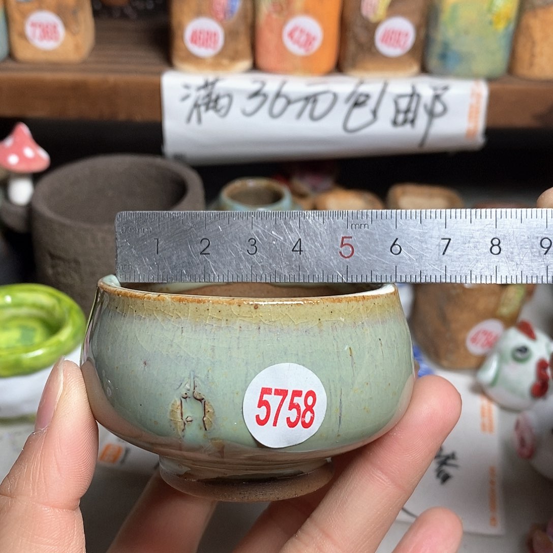 红陶拍5送一个小