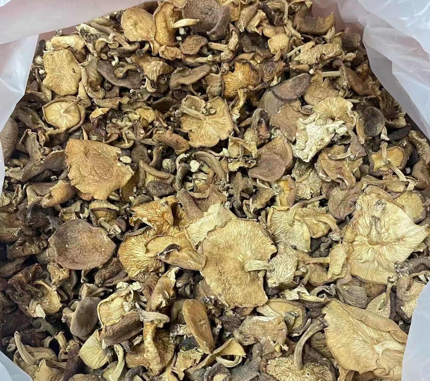 【刘小慧助农代收】野生香菇