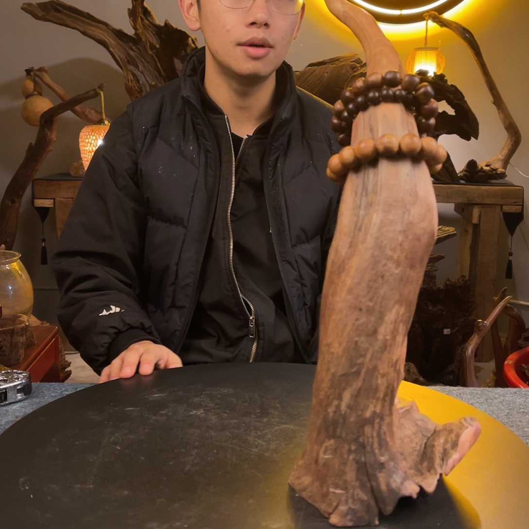 柚木2号链接精品仙鹤