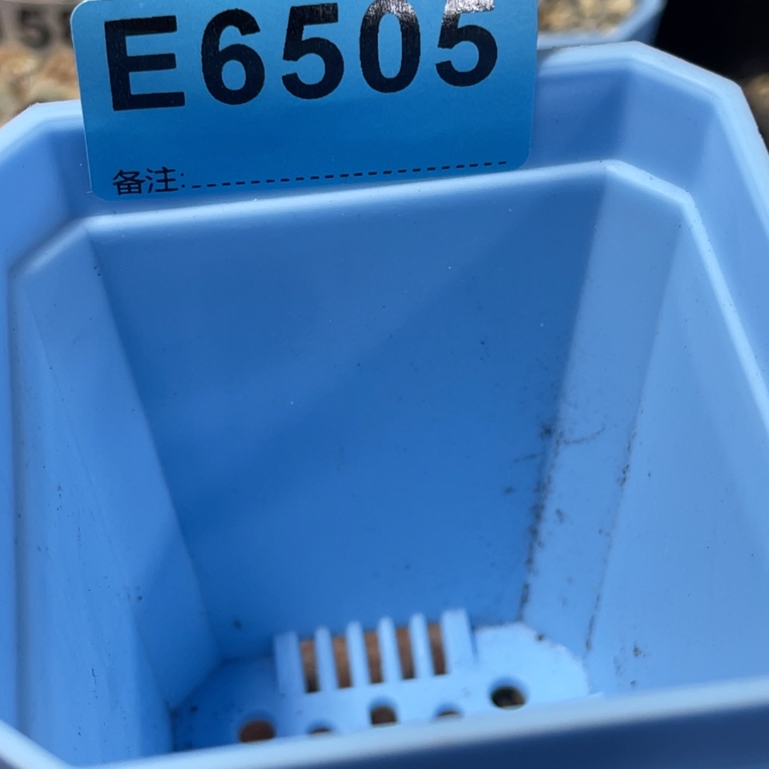 昭***澜6505打包费专拍。   
