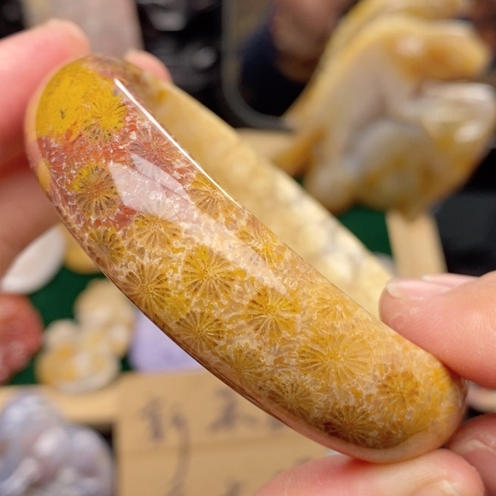 硅化珊瑚（珊瑚玉）手镯未镶嵌 58.4