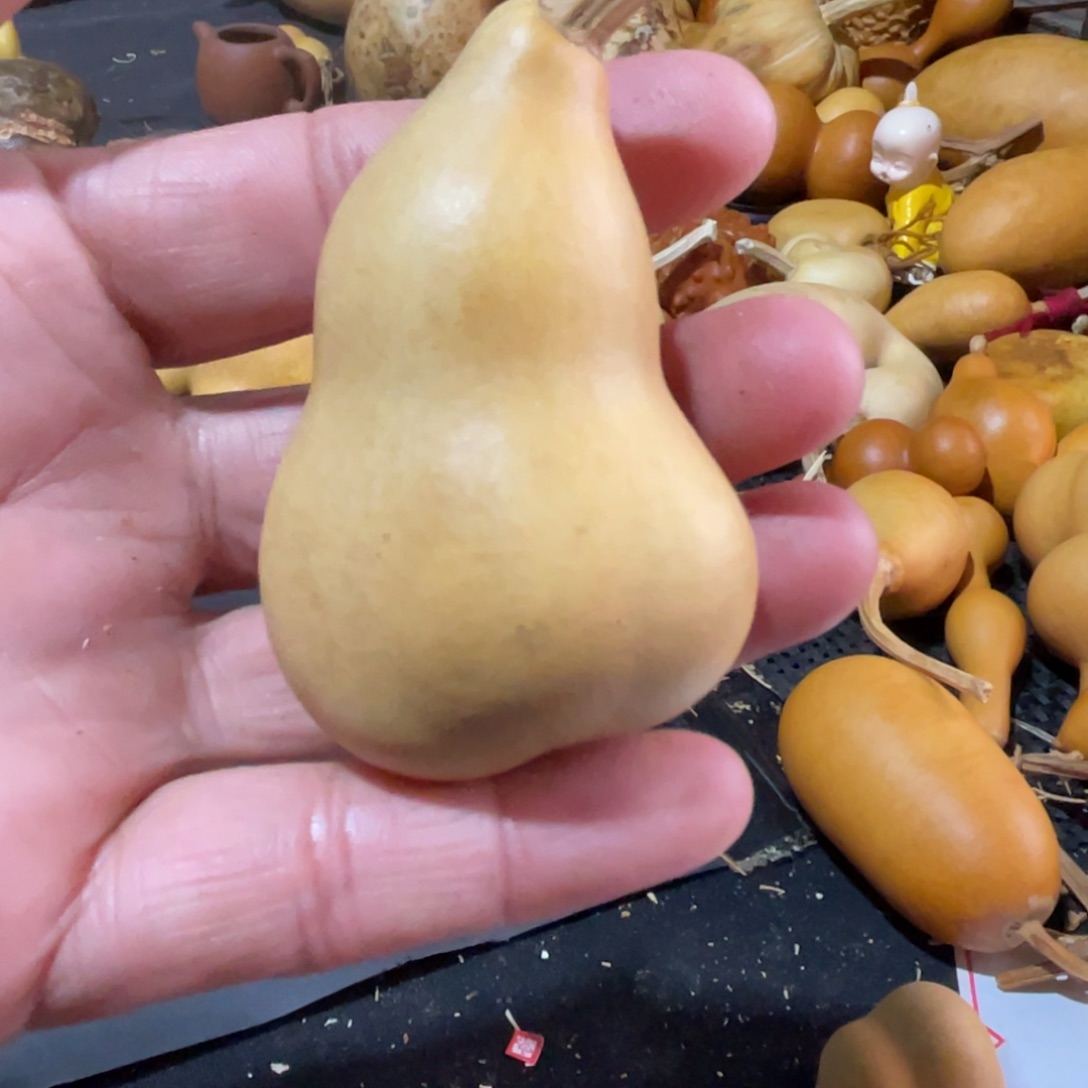 孤****葫芦哈哈哈哈哈哈哈哈