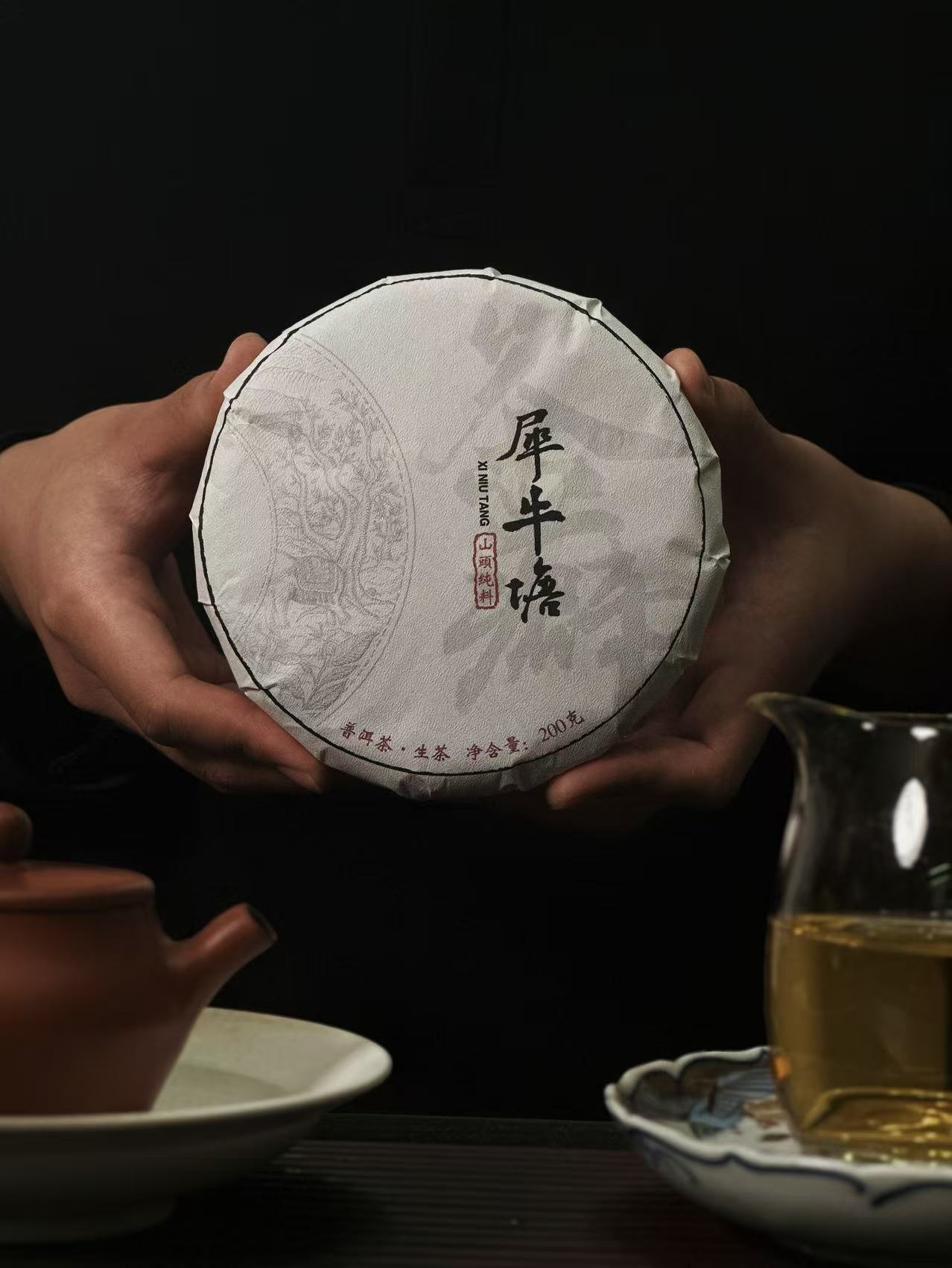 茶癖【2025·犀牛塘】犀牛塘头春古树纯料挑采200g饼茶生茶普洱茶