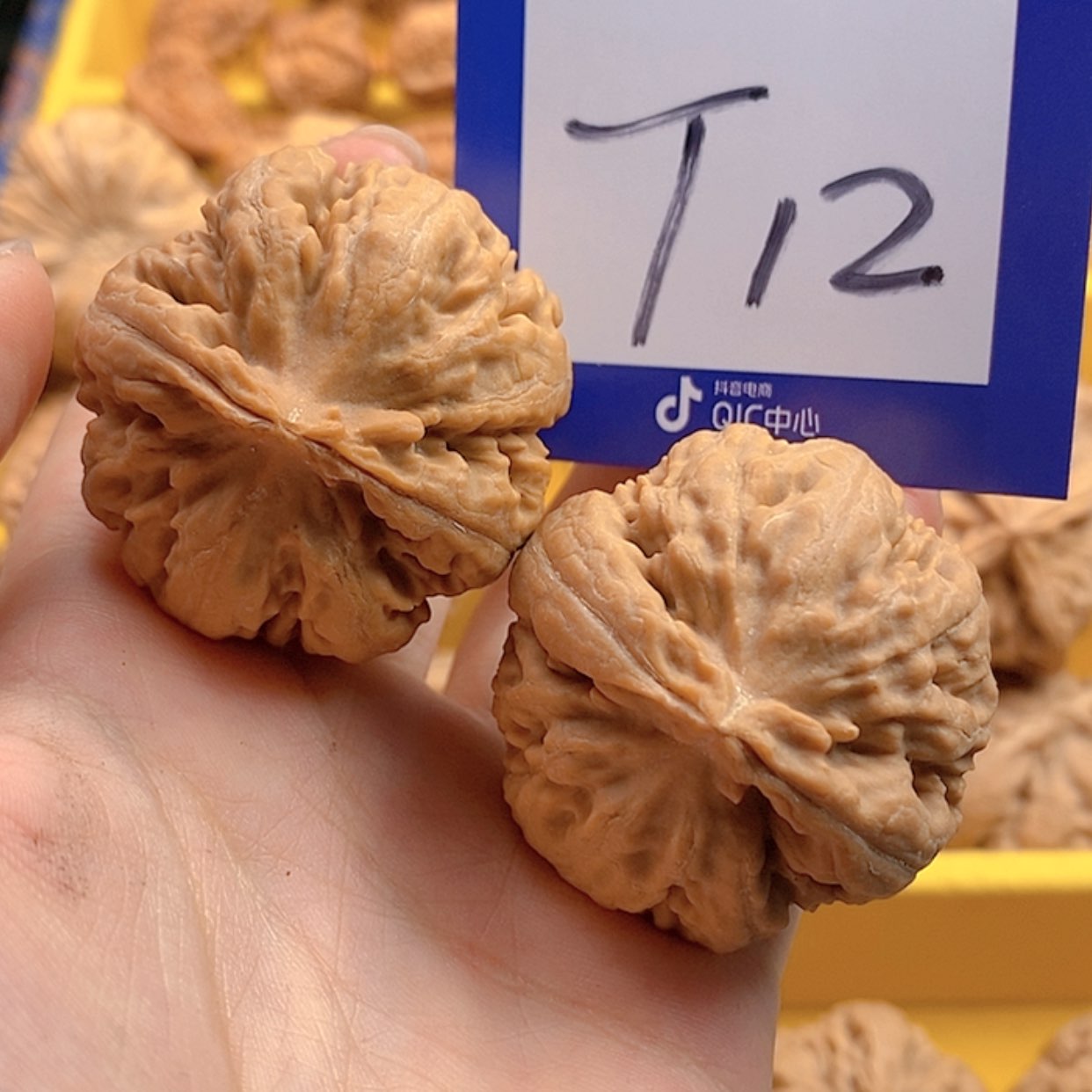 【闪购商品】文玩核桃把件文玩核桃霸王龙12