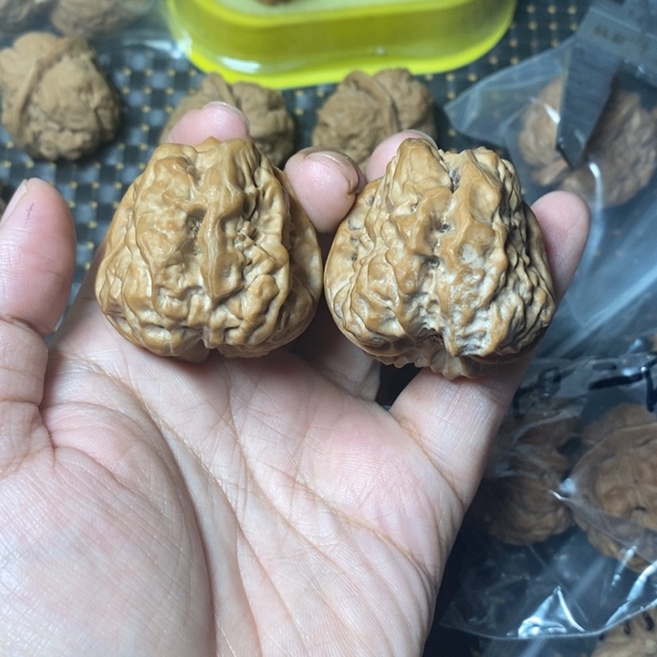 文玩核桃把件蛤蟆41