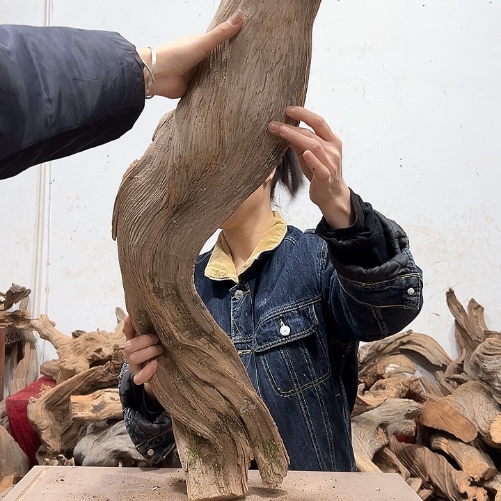 柏木本**活我们的生活也是