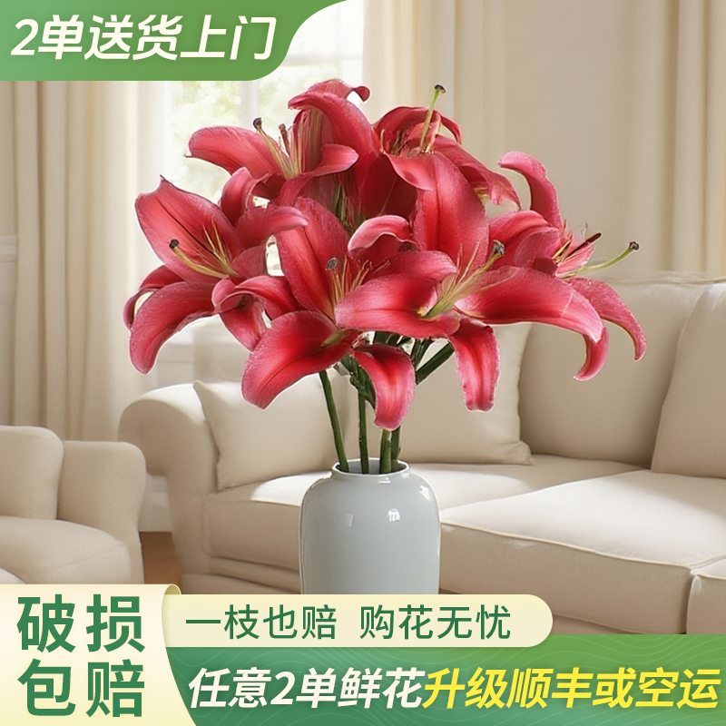【大聪明卖花】中国红香水百合云南直发鲜花家居水养鲜花花束客厅