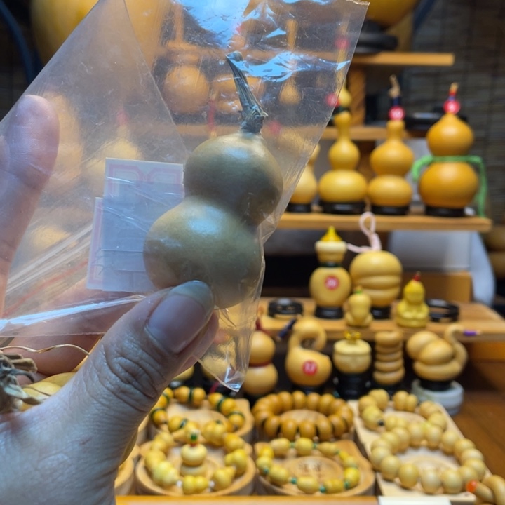 是****天然葫芦自然生长