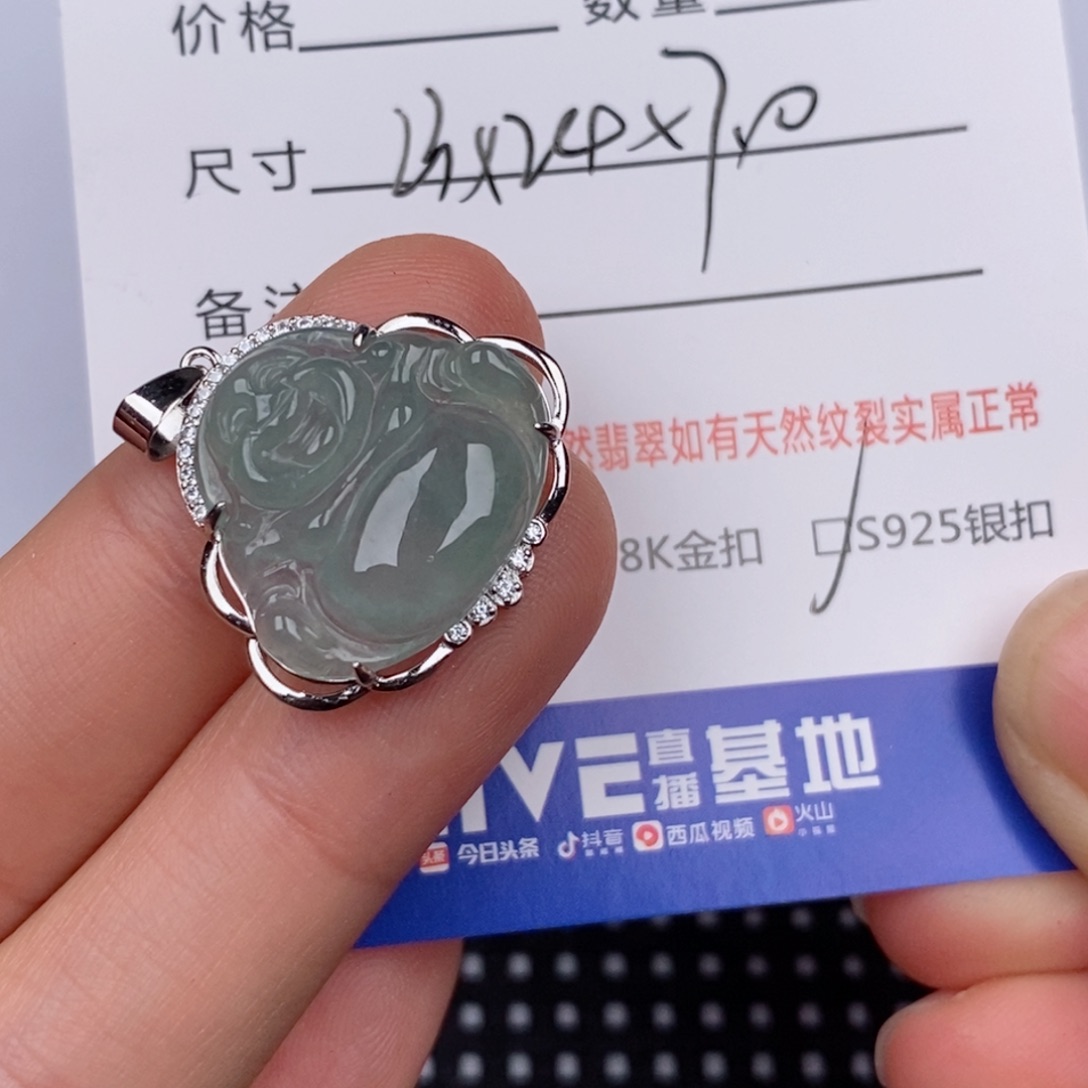 傲***子翡翠银S925镶嵌颈饰