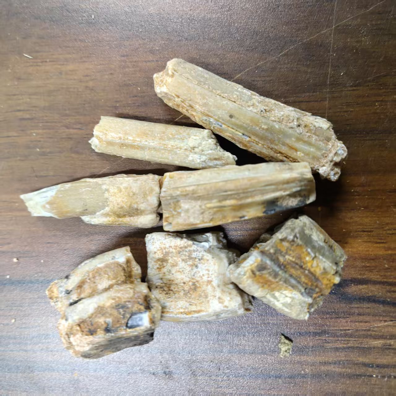 甄选龙——骨可煮水土特产