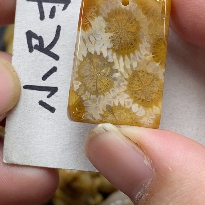 硅化珊瑚（珊瑚玉）未镶嵌颈饰