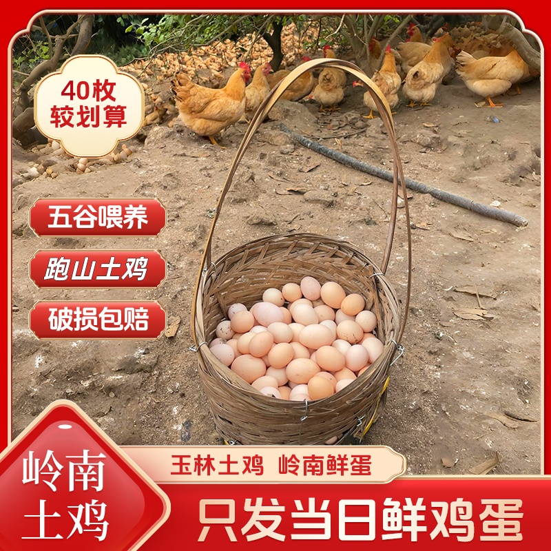 散养走地鸡土鸡蛋 现捡现发