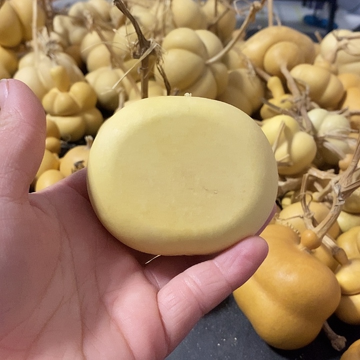 葫芦的颜色很好看