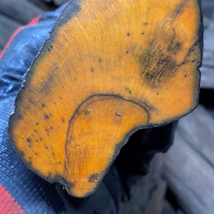 D***G贡木贡木手串手链项链