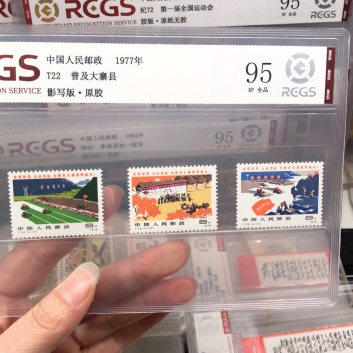 T22普及大寨县原胶95