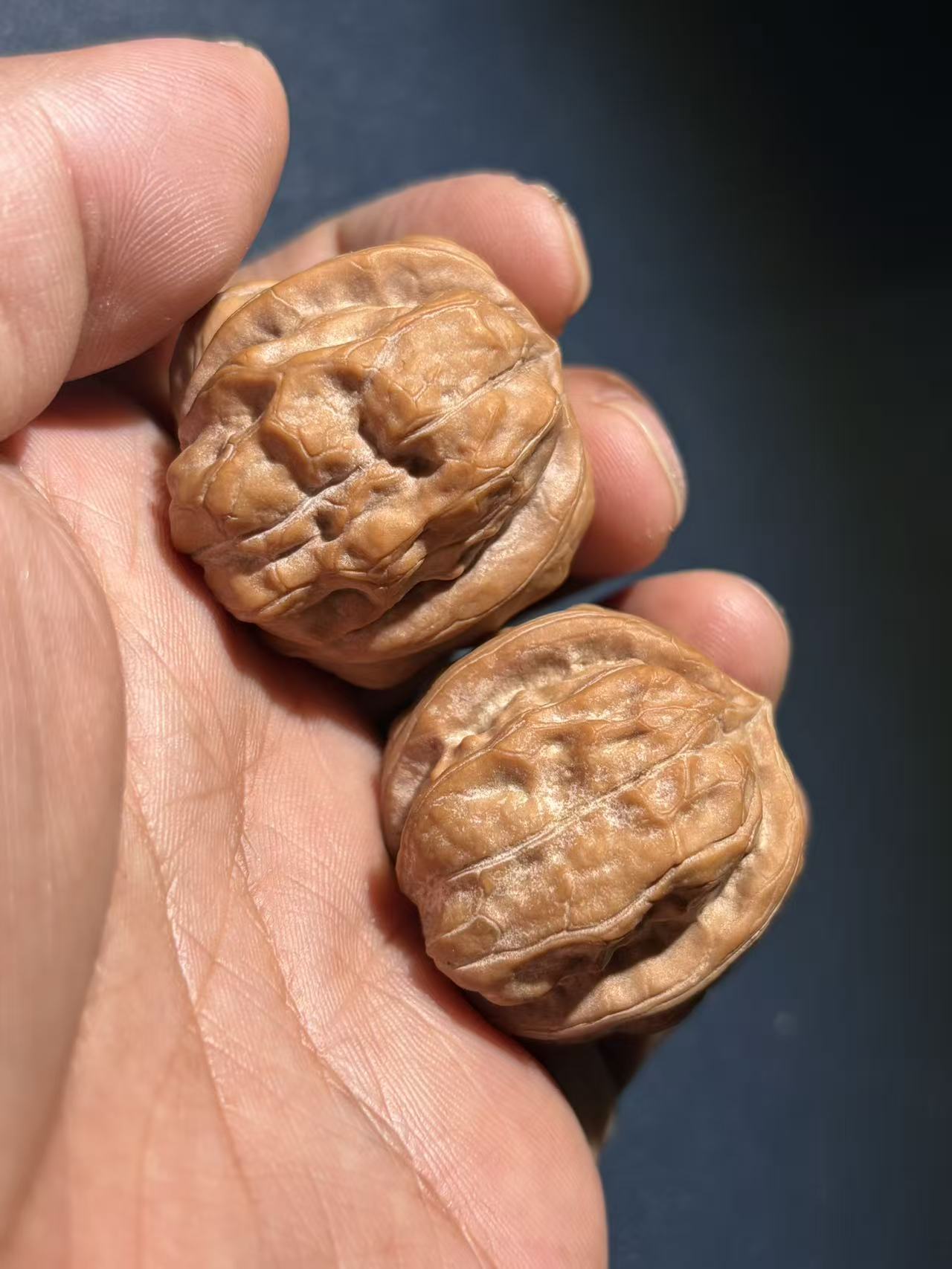 精品金蟾三棱正奔狮子头文玩核桃