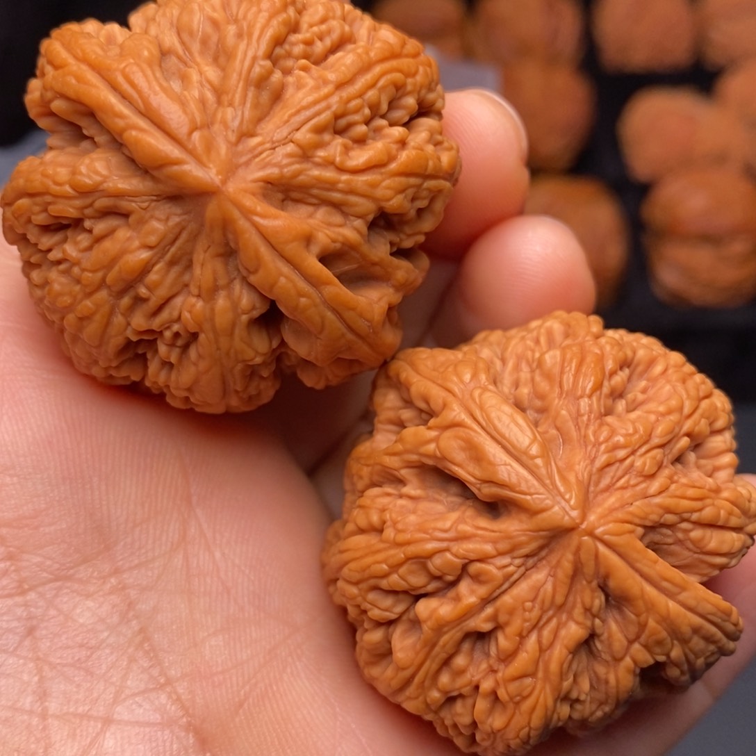 文玩核桃把件秦岭野生核桃