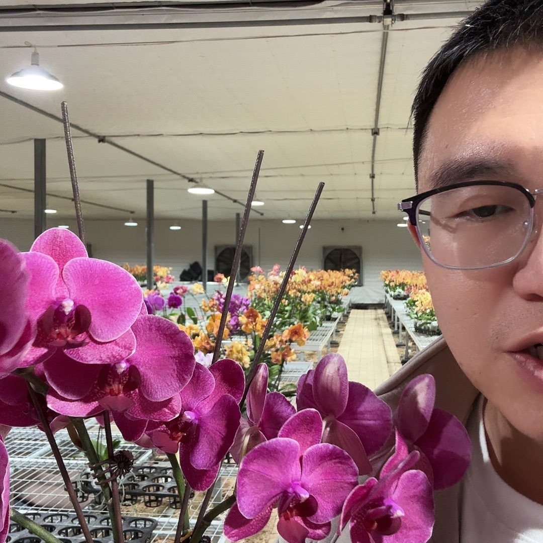 完全开放蒙特勒双剑2颗装