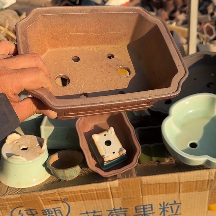 是一个不知名作家与著名导演在电视连续