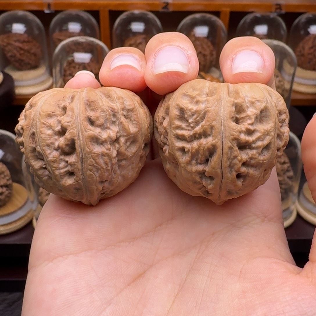 把件文玩核桃凹底马蹄