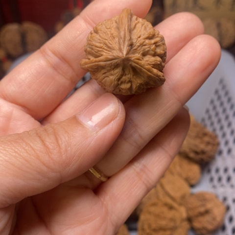 朱***三把件文玩核桃核桃