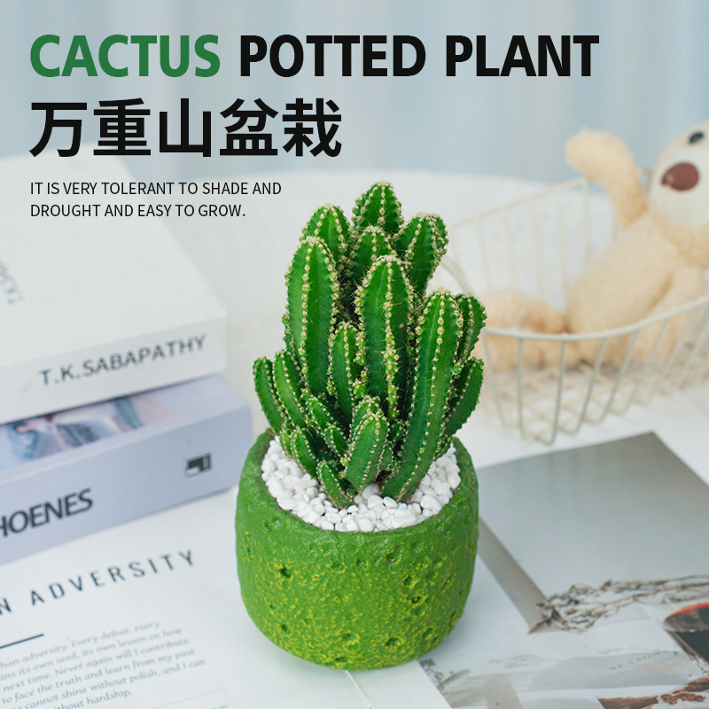 万重山盆栽懒人必备仙人掌多肉室内精致清新桌面可爱摆件种好发货