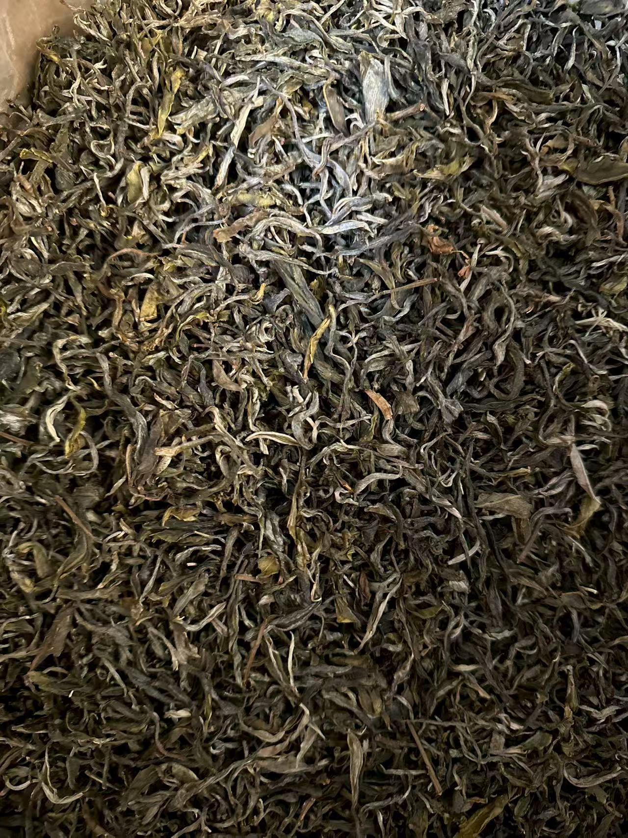 南界 2024年 头春 永德大雪山富婆 古树生茶 散茶